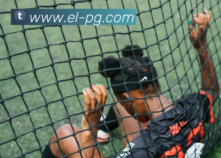 App Interface Preview